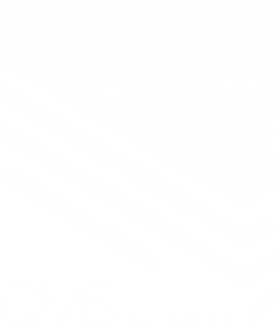 Aegfuels-QMS-Environmental_Management_ISO_14001-White-253x300